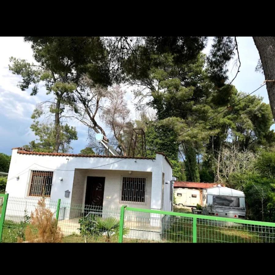 Divjak Dhoma Plazhi Apartment